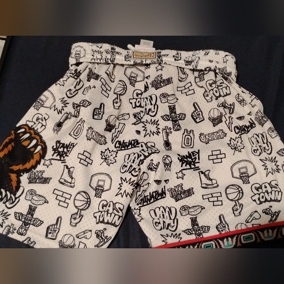 NEW Mitchell & Ness Vancouver Grizzlies Hardwood Classics Swingman Shorts size L - Picture 6 of 7